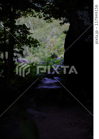 Stone path through a dark forest Stone path through a dark forest 117949156