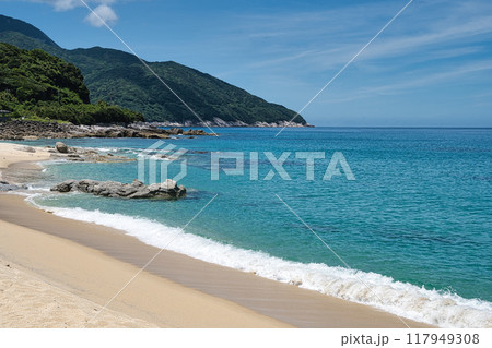 ウミガメ産卵地の永田いなか浜 屋久島 ウミガメ産卵地の永田いなか浜 屋久島 117949308