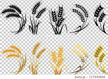 Simple wheat icon 2 color icon mark symbol 117949666