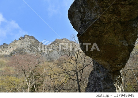 妙義山第四石門の岩峰に金洞山 妙義山第四石門の岩峰に金洞山 117949949