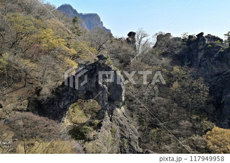 妙義山石門巡りコースの見晴台から第四石門と大砲岩の岩峰 117949958
