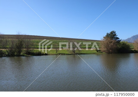 南アフリカ・ワインランドのワイナリー　ASARA 117950000