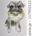 見つめるかわいい犬 117950123