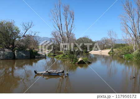 南アフリカ・ステレンボッシュのワイナリー スピア 南アフリカ・ステレンボッシュのワイナリー スピア 117950172