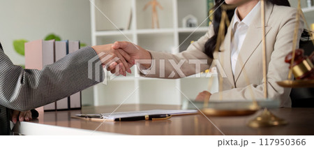Professional handshake between diverse lawyers sealing agreement Professional handshake between diverse lawyers sealing agreement 117950366