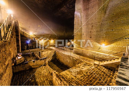 栃木 大谷資料館　大谷石採石場跡の地下空間 117950567