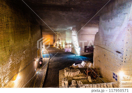 栃木 大谷資料館 大谷石採石場跡の地下空間 栃木 大谷資料館 大谷石採石場跡の地下空間 117950571