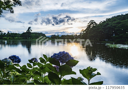 福島 夕暮れの大池公園(矢吹町) 福島 夕暮れの大池公園(矢吹町) 117950635