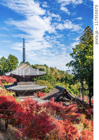 湖南三山　常楽寺の紅葉 117950878
