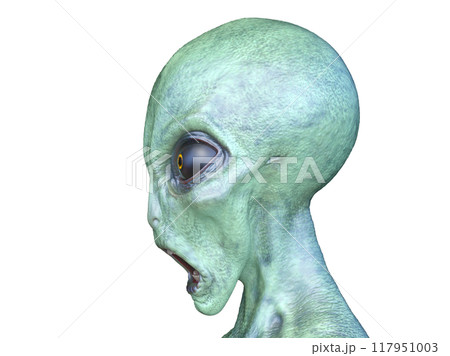 エイリアンの顔 117951003