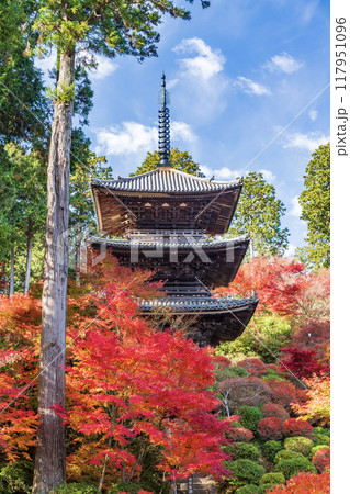 湖南三山 常楽寺の秋 湖南三山 常楽寺の秋 117951096