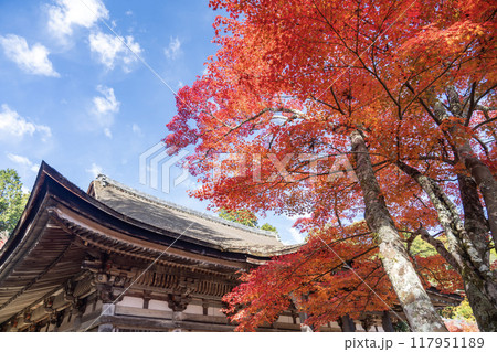 湖南三山　常楽寺の紅葉 117951189