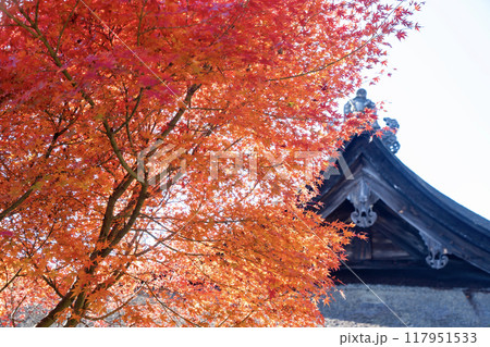 湖南三山 善水寺の本堂 湖南三山 善水寺の本堂 117951533