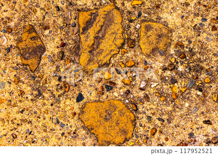 京都・醍醐の石 117952521