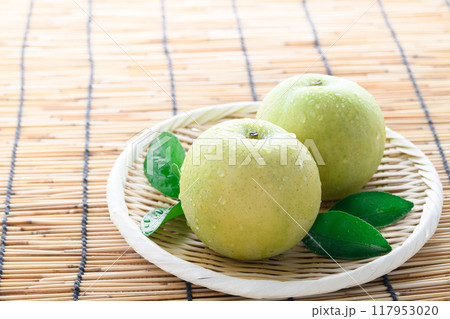 新鮮な二十世紀梨 117953020