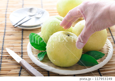 秋の味覚　二十世紀梨 117953149
