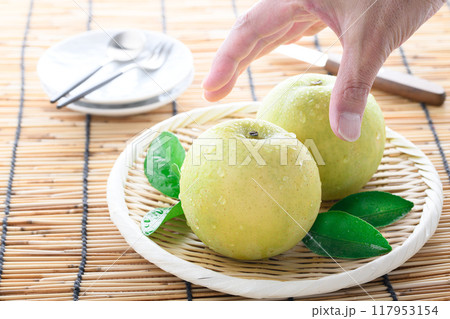 秋の味覚 二十世紀梨 秋の味覚 二十世紀梨 117953154