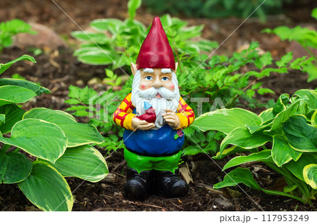 Ceramic figurine of a gnome in a red hat holding a little bird, standing among hostas in a shade garden. 117953249