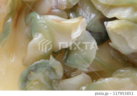 ザーサイ ザーサイ 117953851