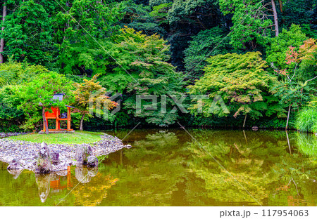 京都、浄瑠璃寺の弁天社 117954063