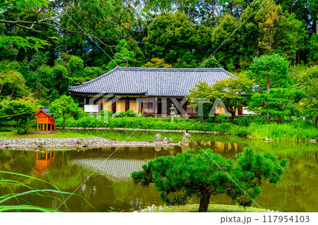 京都、浄瑠璃寺の本堂 117954103