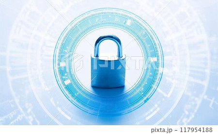 セキュリティ　デジタル　イメージ　イラスト 117954188