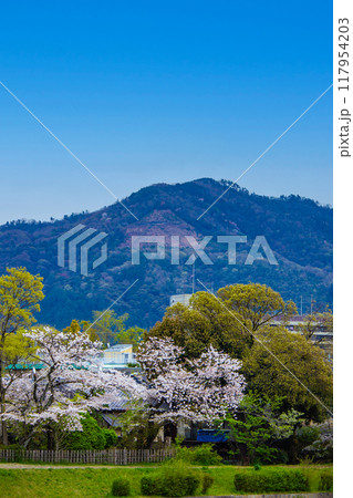 【京都風景】賀茂川より望む桜と山（比叡山/大文字山） 117954203