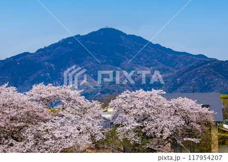 【京都風景】賀茂川より望む桜と山（比叡山/大文字山） 117954207