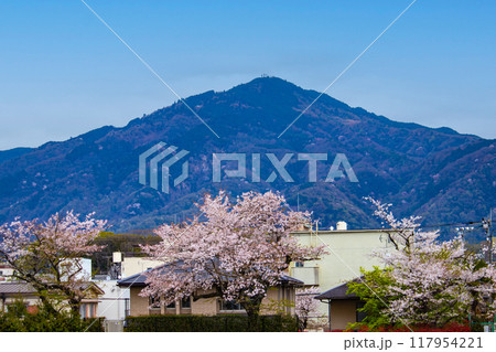 【京都風景】賀茂川より望む桜と山(比叡山/大文字山) 【京都風景】賀茂川より望む桜と山(比叡山/大文字山) 117954221