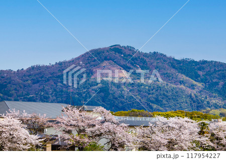 【京都風景】賀茂川より望む桜と山(比叡山/大文字山) 【京都風景】賀茂川より望む桜と山(比叡山/大文字山) 117954227