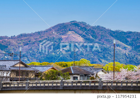 【京都風景】賀茂川より望む桜と山(比叡山/大文字山) 【京都風景】賀茂川より望む桜と山(比叡山/大文字山) 117954231