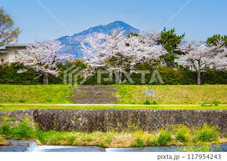 【京都風景】賀茂川より望む桜と山(比叡山/大文字山) 【京都風景】賀茂川より望む桜と山(比叡山/大文字山) 117954243