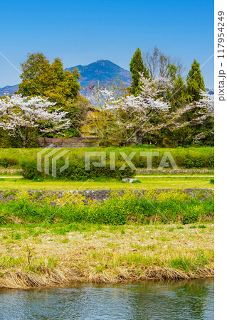 【京都風景】賀茂川より望む桜と山(比叡山/大文字山) 【京都風景】賀茂川より望む桜と山(比叡山/大文字山) 117954249