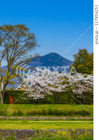 【京都風景】賀茂川より望む桜と山(比叡山/大文字山) 【京都風景】賀茂川より望む桜と山(比叡山/大文字山) 117954251