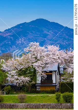 【京都風景】賀茂川より望む桜と山(比叡山/大文字山) 【京都風景】賀茂川より望む桜と山(比叡山/大文字山) 117954276