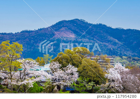 【京都風景】賀茂川より望む桜と山(比叡山/大文字山) 【京都風景】賀茂川より望む桜と山(比叡山/大文字山) 117954280