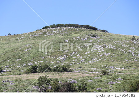 登山道から見た景色 117954592