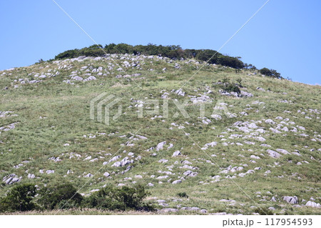 登山道から見た景色 登山道から見た景色 117954593