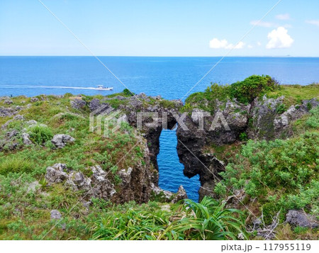 沖縄県恩納村　万座毛13 117955119