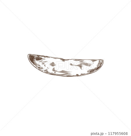 Vector illustration with a piece of sweet potato highlighted on a white background Vector illustration with a piece of sweet potato highlighted on a white background 117955608