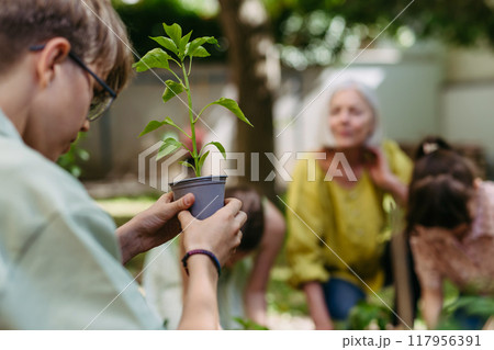 Young kids taking care of plants in school garden during at outdoor sustainable education class, planting flowers, herbs and vegetables. Concept of experiential learning and ecoliteracy. 117956391