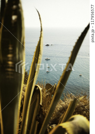 Boats moored in calm sea 117956577