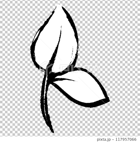 Monochrome line drawing of two leaves with a brush stroke Monochrome line drawing of two leaves with a brush stroke 117957066