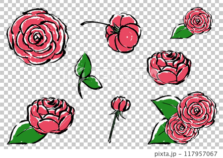 Brush stroke rose illustration set Brush stroke rose illustration set 117957067