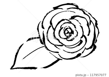 筆タッチの俯瞰の薔薇1輪と葉のモノクロ線画イラスト 117957077