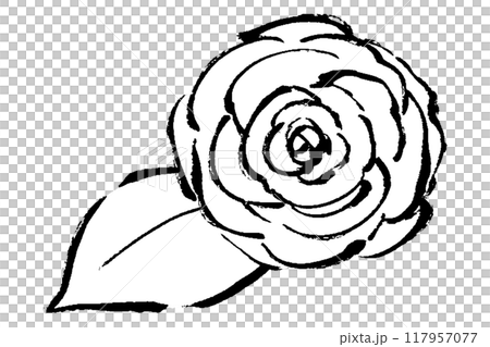 筆タッチの俯瞰の薔薇1輪と葉のモノクロ線画イラスト 117957077