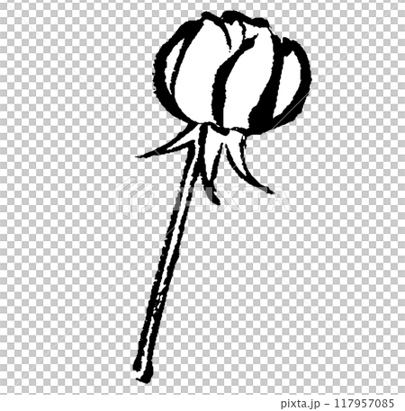 筆タッチの薔薇の蕾のモノクロ線画イラスト 117957085