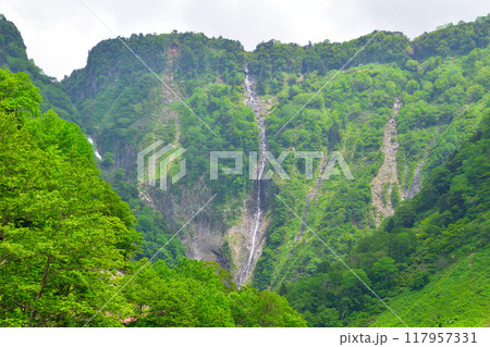 立山　ハンノキ滝　 117957331