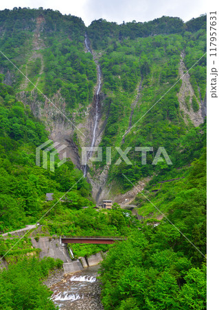 立山　ハンノキ滝　 117957631