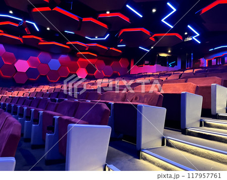 ナイトショー会場 117957761